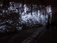 Wandprojektion : Bodenmalereien in der Michaeliskirche, Lichtungen-2018